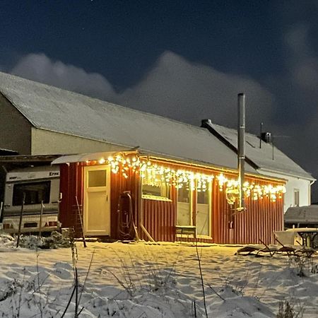 فيلا Tiny House Anneliese Hunde Okay Oberbettingen المظهر الخارجي الصورة